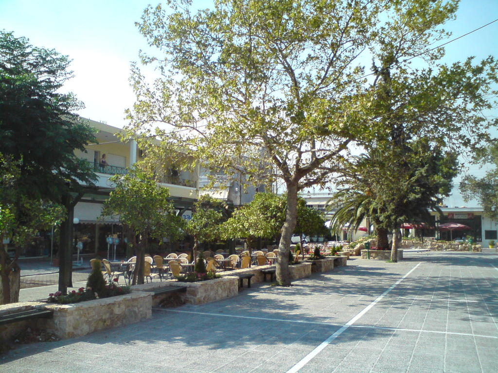 DSC00208_s.JPG
